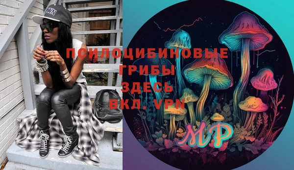 тгк Алексин