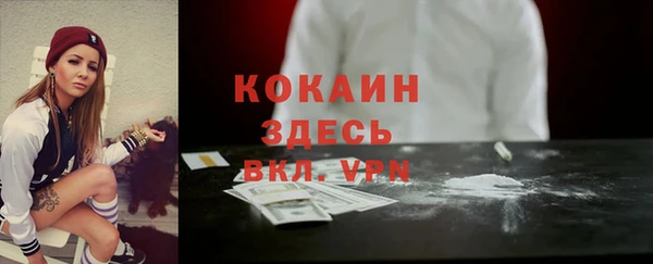 тгк Алексин